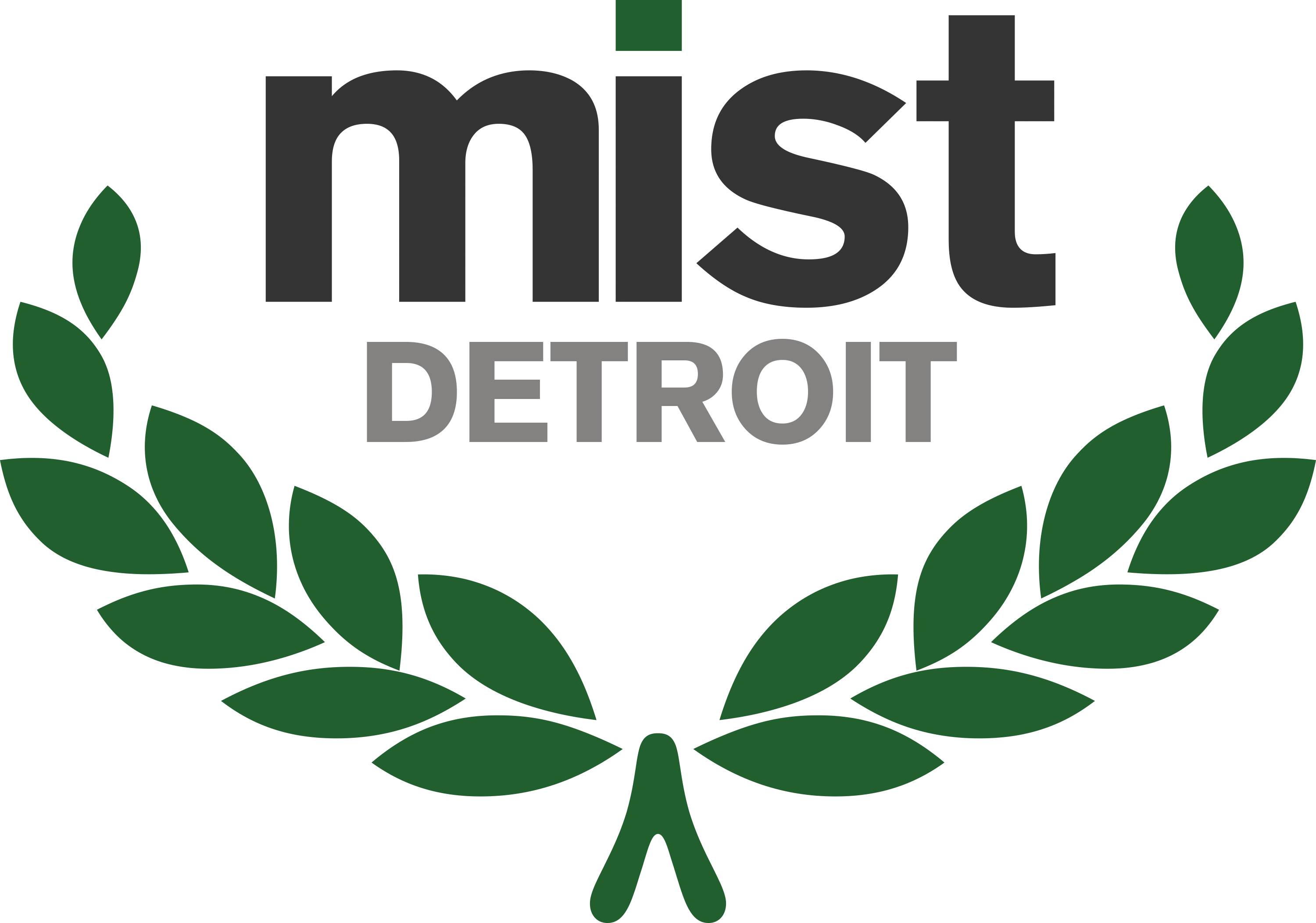 MIST Detroit.png