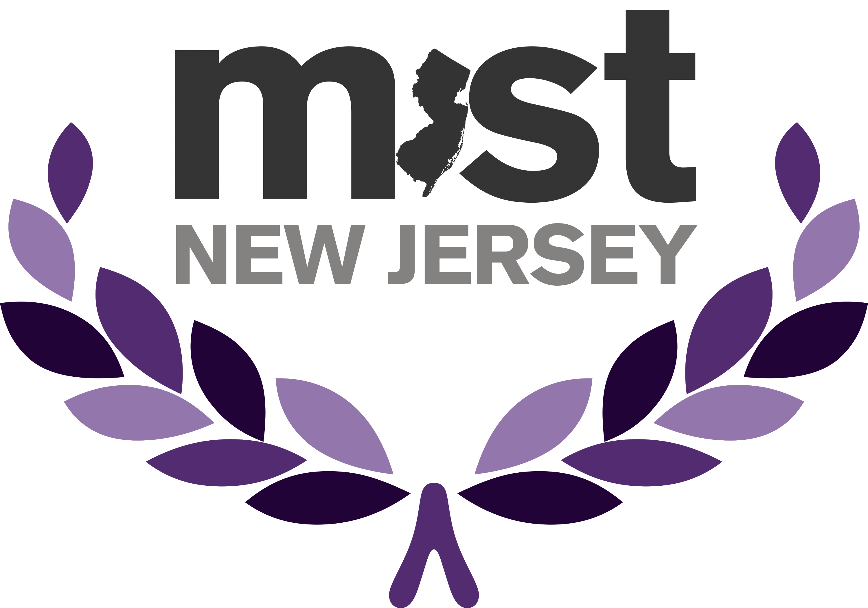 MIST_NewJersey.png